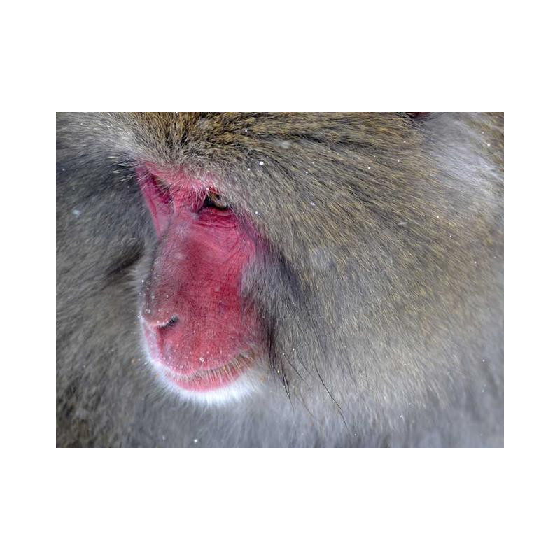 Practical Concrete Bench fr-FR